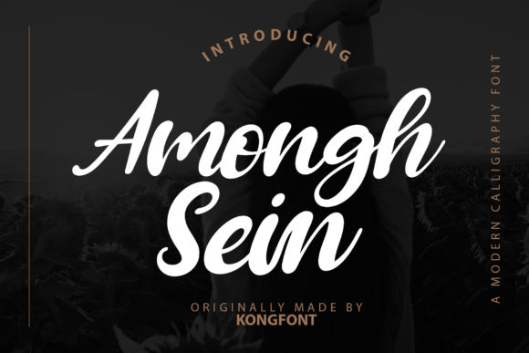 Amongh Sein Font Review