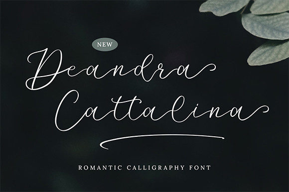 Deandra Cattalina Font Review: A Sweet Script for Romantic Branding