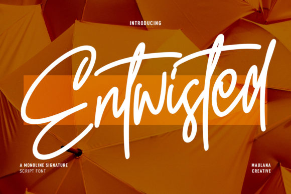 Entwisted: A Modern Script Font for Editorial Design