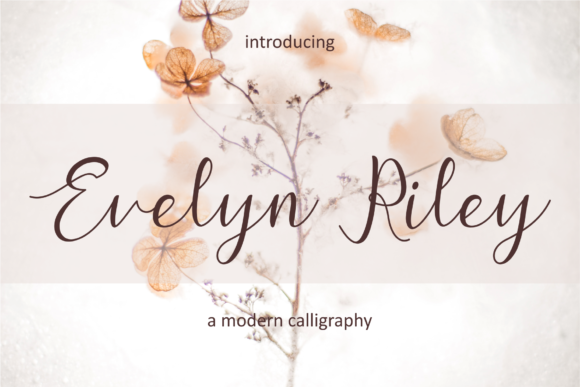 Evelyn Riley Script Font for Wedding Invitations and Branding