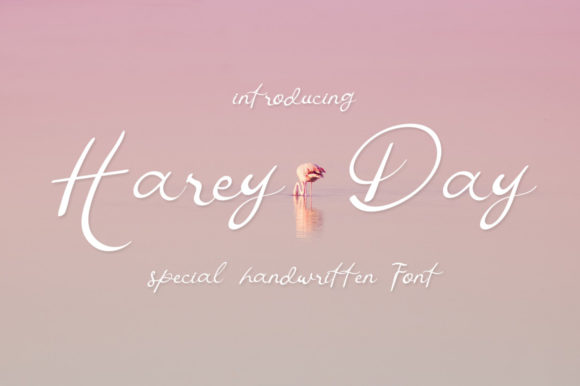 Harey Day Font for Marketers and Creators