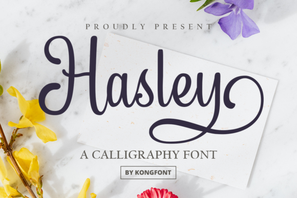 Hasley: A Font for Creative Business