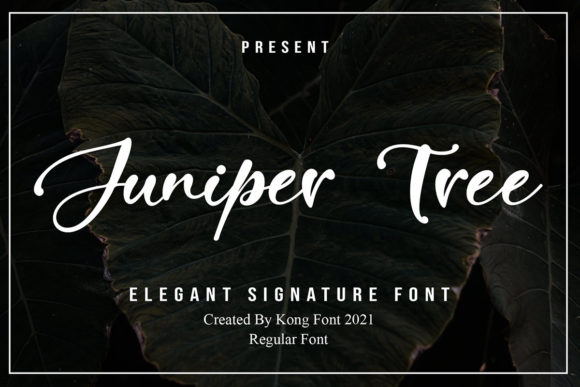 Juniper Tree Font for Web Design