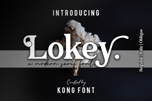 Lokey: A Playful Font for Web Design