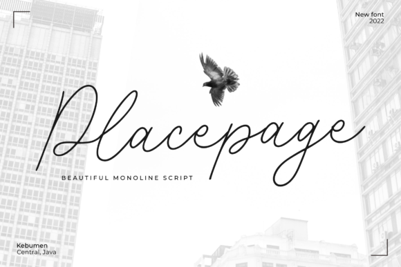 Placepage Font: A Dainty Script for Digital Design Projects