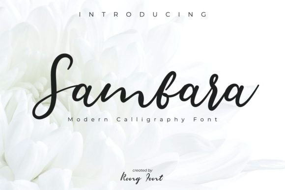 Sambara Font for Creative Brands