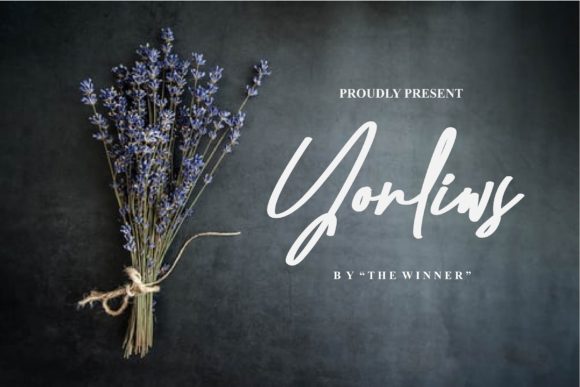 Yonliws: A Luxurious Script Font for Professional Branding